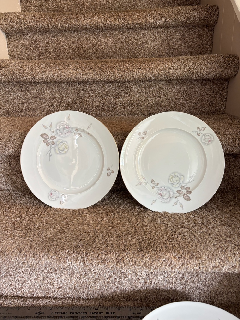 Johann Haviland Dinner Plates - Set of 2